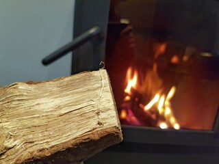 Ferienhaus Valkenswaard  38