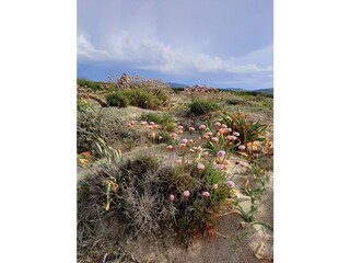 Villa Valledoria Ambiente 23