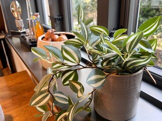 Ferienhaus Westerland Ausstattung 18