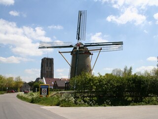 Casa per le vacanze Ouddorp Ambiente 13