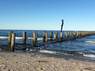 Strand Zingst