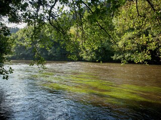 Maison de vacances Trois-Ponts Environnement 37