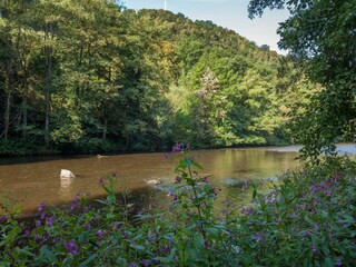 Vakantiehuis Trois-Ponts Buitenaudio-opname 9