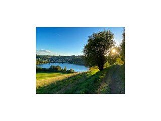 Appartement Daun Omgeving 29