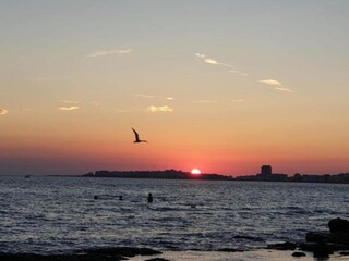 Appartement Gallipoli Omgeving 33