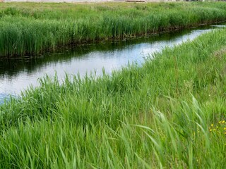 Maison de vacances Sint-Maartensdijk Environnement 37