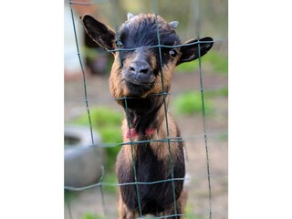 Casa per le vacanze Vesly Registrazione all'aperto 8