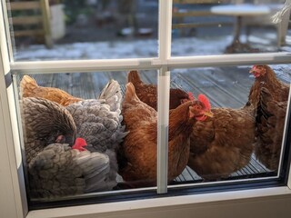 Casa per le vacanze Vesly Registrazione all'aperto 10