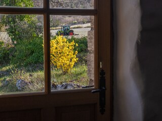 Casa per le vacanze Saint-Martin-de-Castillon Registrazione all'aperto 12