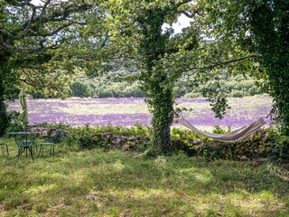Casa per le vacanze Saint-Martin-de-Castillon Registrazione all'aperto 16