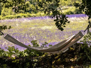 Vakantiehuisje met zwembad en uitzicht op de Luberon 414 SAI