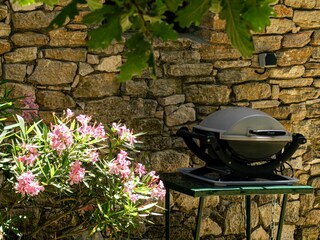 Casa per le vacanze Saint-Martin-de-Castillon Registrazione all'aperto 11