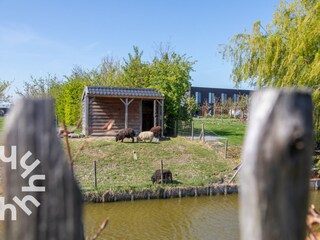 Vakantieappartement Arnemuiden Omgeving 19