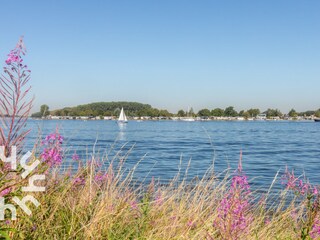 Appartamento per vacanze Arnemuiden Ambiente 24