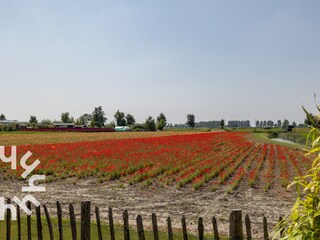 Vakantieappartement Sint-Annaland Omgeving 24