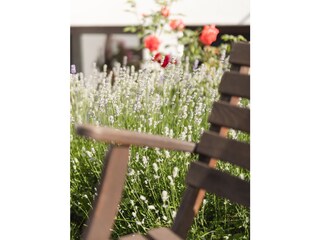 Apartment Neustift im Stubaital Außenaufnahme 11