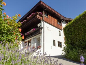 Apartment Donna Moltina