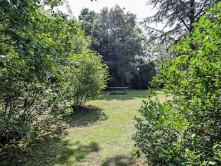 Bungalow Den Burg Outdoor Recording 5