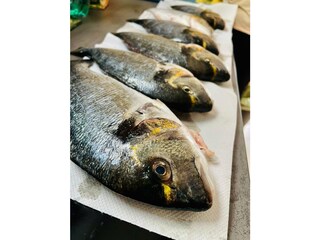 Appartamento per vacanze Mali Losinj Ambiente 36