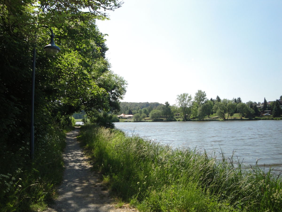 Ein idyllischer Weg am See