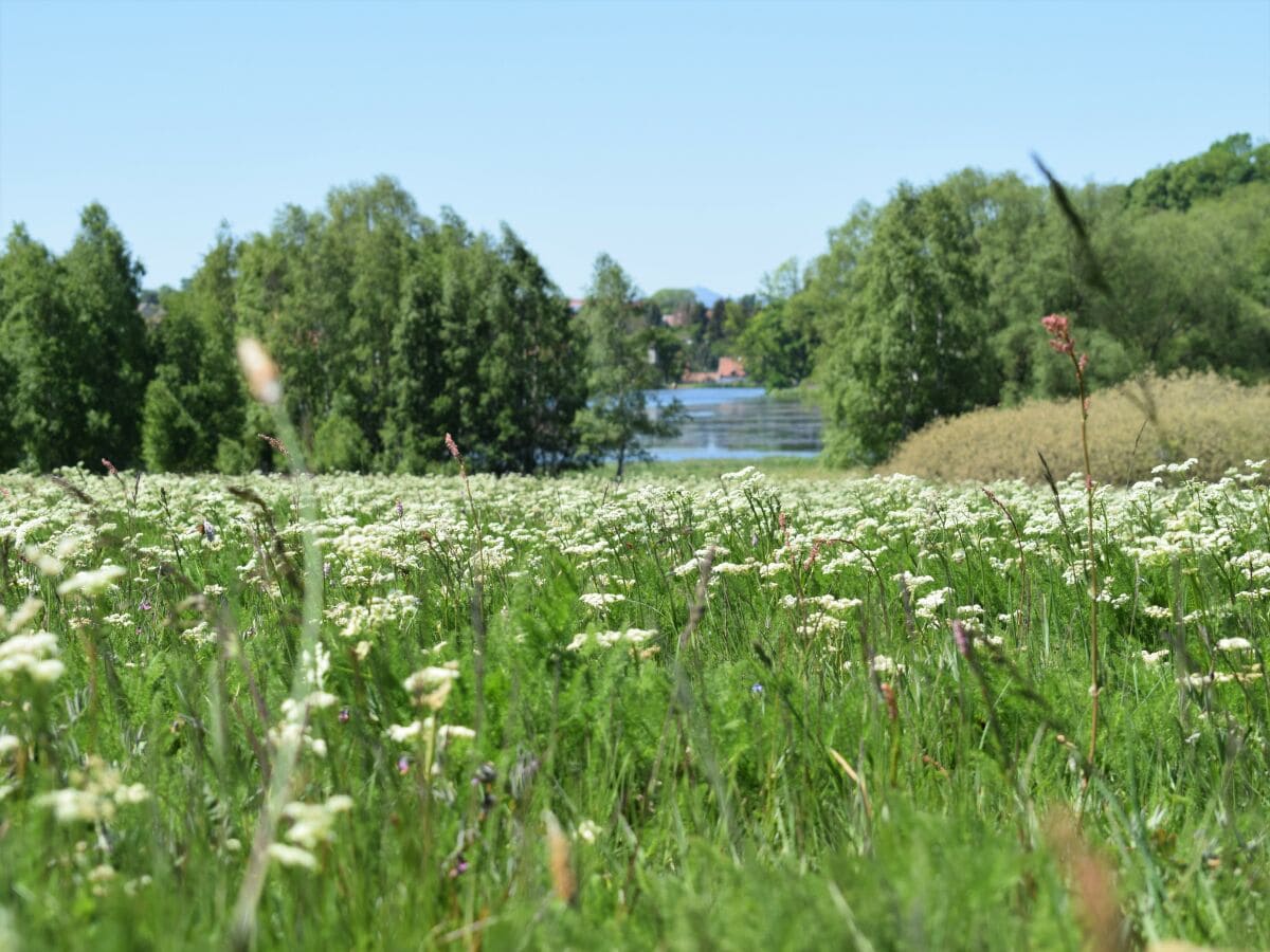 ... der Anblick erwartet Sie im Mai