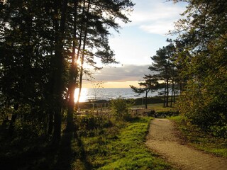 Vakantiehuis Sellin Omgeving 26