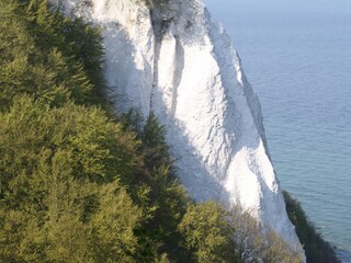 Casa per le vacanze Sellin Ambiente 21