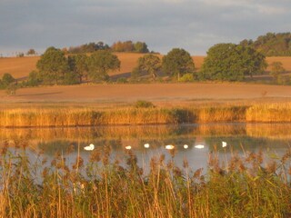 Casa per le vacanze Sellin Ambiente 22
