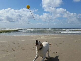 Casa per le vacanze Sellin Documento 33