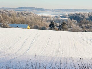 Ferienhaus Ørsted  38
