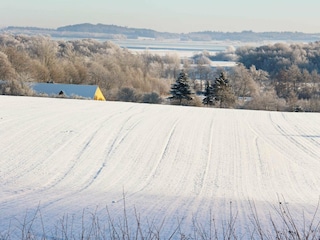 Holiday house Ørsted  14