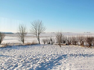 Ferienhaus Ørsted  33