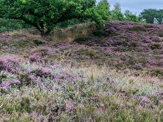 Vakantiehuis Hals Buitenaudio-opname 4