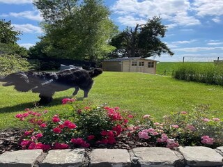 Ferienhaus Havelange Außenaufnahme 9