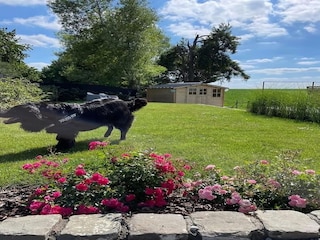 Holiday house Havelange Outdoor Recording 11