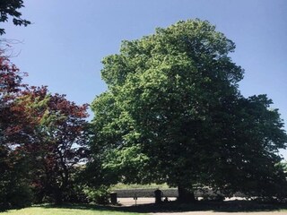 Holiday house Havelange Environment 36