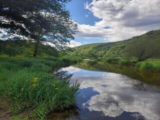 Casa per le vacanze Vresse-sur-Semois Ambiente 31