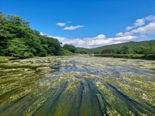 Maison de vacances Vresse-sur-Semois Environnement 35