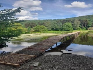 Vakantiehuis Vresse-sur-Semois Omgeving 36