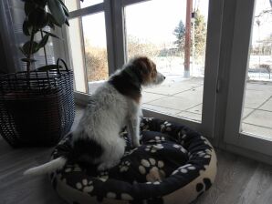 Familienfreundlicher Kurzurlaub