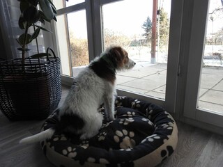 Casa per le vacanze Ballenstedt Registrazione all'aperto 2