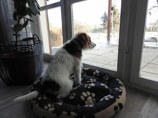 Casa per le vacanze Ballenstedt Registrazione all'aperto 2