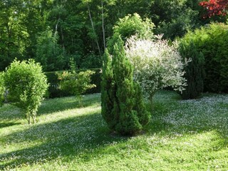 Vakantiehuis Ballenstedt Omgeving 37