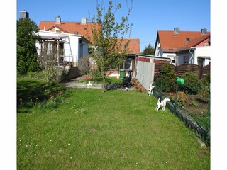 Vakantiehuis Ballenstedt Buitenaudio-opname 7