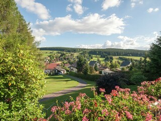 Vakantiehuis Altenfeld Buitenaudio-opname 8