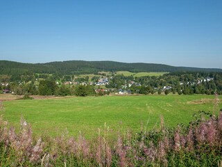 Vakantiehuis Altenfeld Omgeving 36