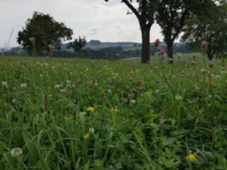 Casa per le vacanze Altenfeld Ambiente 35