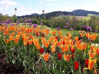 Casa per le vacanze Altenfeld Ambiente 39