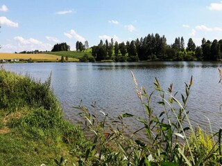 Holiday house Altenfeld Environment 36