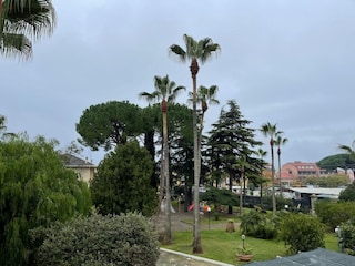 Apartment Loano Außenaufnahme 2